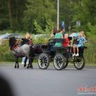 zdjęcie nr 15