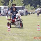 zdjęcie nr 75