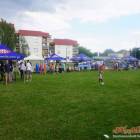 zdjęcie nr 42