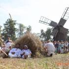 zdjęcie nr 138