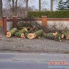 zdjęcie nr 16