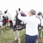 zdjęcie nr 188