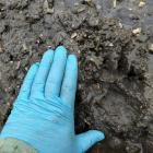 Fot. FB Konrad Krupiński