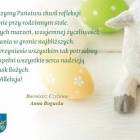zdjęcie nr 10