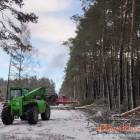 Fotka nr 1 z 10