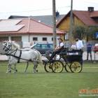 zdjęcie nr 103