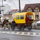 zdjęcie nr 88