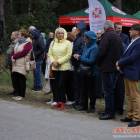 zdjęcie nr 10