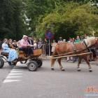 zdjęcie nr 77