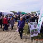 zdjęcie nr 31