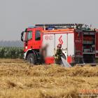zdjęcie nr 9