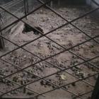 Fot. KPP w Zambrowie