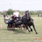 zdjęcie nr 86