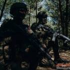Fotka nr 5 z 8