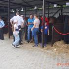 zdjęcie nr 5