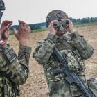 Fotka nr 5 z 7