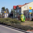 zdjęcie nr 11