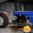 Fotka nr 5 z 6