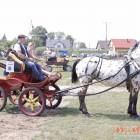 zdjęcie nr 64