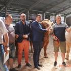 zdjęcie nr 201