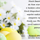 zdjęcie nr 11