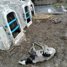 Fot. FB Konrad Krupiński