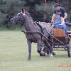 zdjęcie nr 79