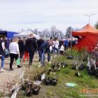 zdjęcie nr 34