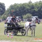 zdjęcie nr 71