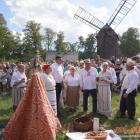 zdjęcie nr 220