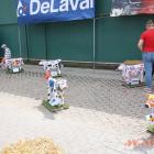 zdjęcie nr 68