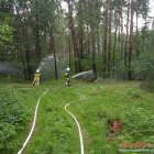 Fotka nr 1 z 4