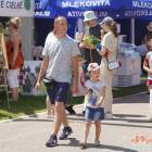 zdjęcie nr 122