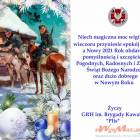 zdjęcie nr 8