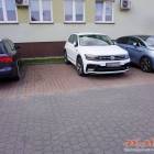 zdjęcie nr 11