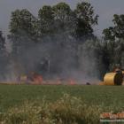 Fotka nr 1 z 14