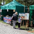 zdjęcie nr 26