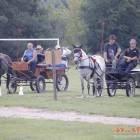 zdjęcie nr 47