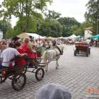 zdjęcie nr 83