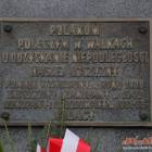 zdjęcie nr 167