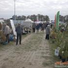 zdjęcie nr 38