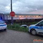 Fotka nr 1 z 2