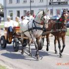 zdjęcie nr 11