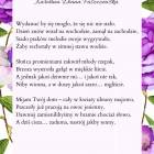zdjęcie nr 23