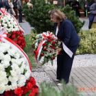 zdjęcie nr 141