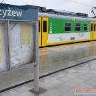 zdjęcie nr 9