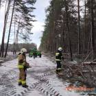 Fotka nr 4 z 10