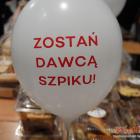 zdjęcie nr 14