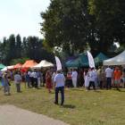 zdjęcie nr 104