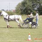 zdjęcie nr 104